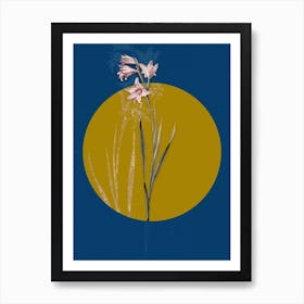 Vintage Botanical Painted Lady on Circle Yellow on Blue n.0298 Art Print