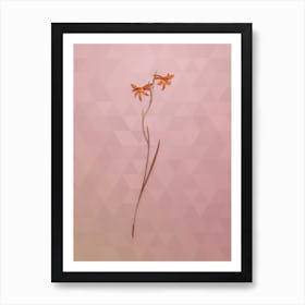 Vintage Gladiolus Watsonius Botanical Art on Crystal Rose Art Print