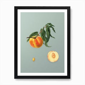 Vintage Peach Botanical Art on Mint Green n.0100 Art Print
