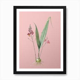 Vintage Pine Pink Botanical on Soft Pink n.0613 Art Print
