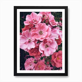 Pink Roses Art Print