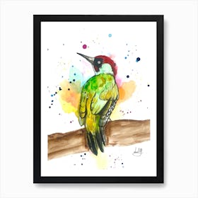 Woodpecker bird Art Print