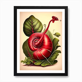 Snail With Red Background 1 Botanical Art Print