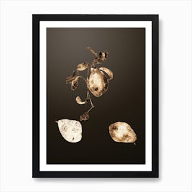 Gold Botanical Pear on Chocolate Brown Art Print