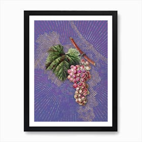 Vintage Grape Vine Botanical Illustration on Veri Peri n.0653 Art Print