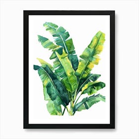 Banana Leaf 15 Art Print