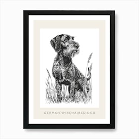 German Wirehaired Dog Line Sketch 1 Poster Art Print