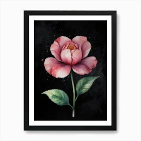 Peony Flower Art Print