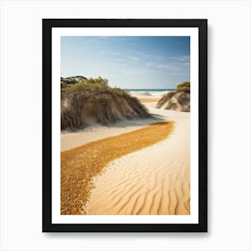 Sand Dunes On The Beach Art Print