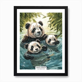 Giant Panda Family Swimming In A River Poster 1 Art Print