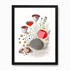 Poppy Seeds Spices And Herbs Pencil Illustration 1 Art Print