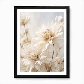 Boho Dried Flowers Edelweiss 1 Art Print