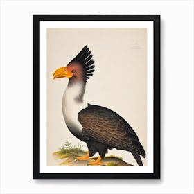 California Condor James Audubon Vintage Style Bird Art Print