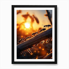 Ant Colony Collaboratively Foraging Under The Glowing Blaze Of A Setting Sun With Elongated Shadows (2) 2 Art Print