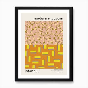 Modern Museum Istanbul Art Print