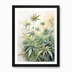 Marijuana Plants 1 Art Print