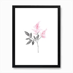 Lilac Flowers Art Print