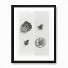 Gerbera Flower Photo Collage 4 Art Print