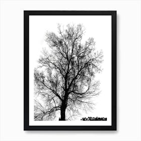 Silhouette Of Bare Tree Black And White 3 Art Print