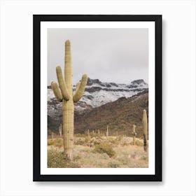 Snow Covered Desert Mountains Art Print