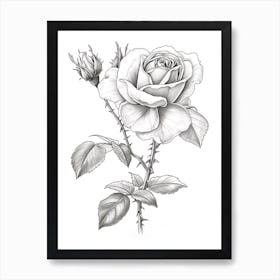 Roses Sketch 54 Art Print