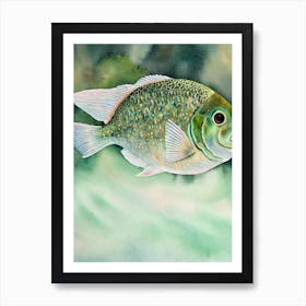 Giant Ocean Sunfish Storybook Watercolour Art Print