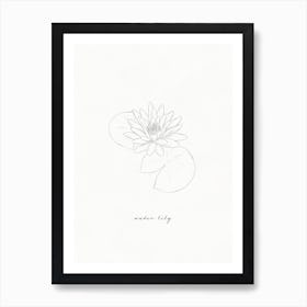 Water Lily Line Drawing Art Print