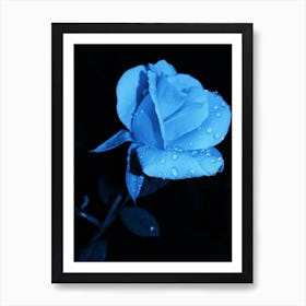 Blue Rose Art Print