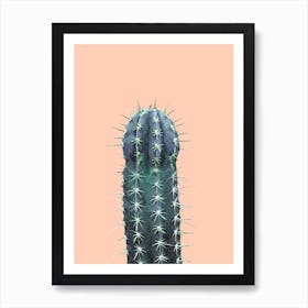 Cactus Rose Background Art Print