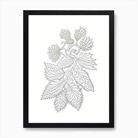 Hops Herb William Morris Inspired Line Drawing 2 Art Print