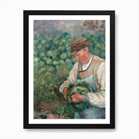 The Gardener Old Peasant With Cabbage (1883 1895), Camille Pissarro Art Print