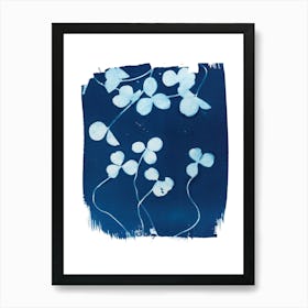 Clover Botanical Cyanotype Blue Art Print