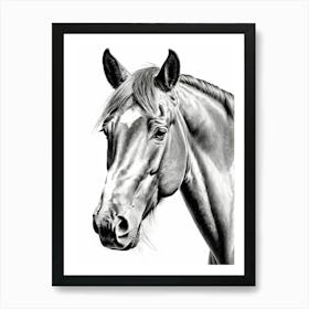 Highly Detailed Pencil Sketch Portrait of Horse with Soulful Eyes 10 Art Print