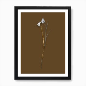 Vintage Blue Pipe Black and White Gold Leaf Floral Art on Coffee Brown n.0679 Art Print