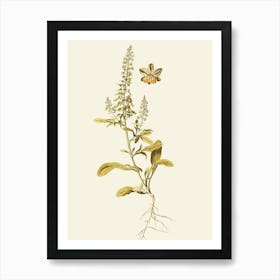 Sassafras 9 Art Print