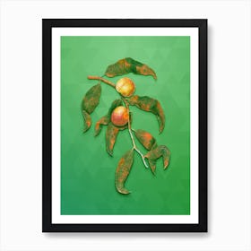 Vintage Peach Botanical Art on Classic Green Art Print
