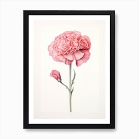 Carnations Flower Vintage Botanical 2 Art Print