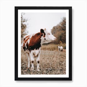 Red And White Cow Art Print