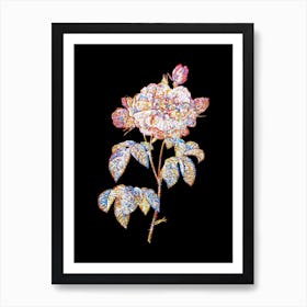 Stained Glass Vintage Duchess of Orleans Rose Mosaic Botanical Illustration on Black n.0037 Art Print