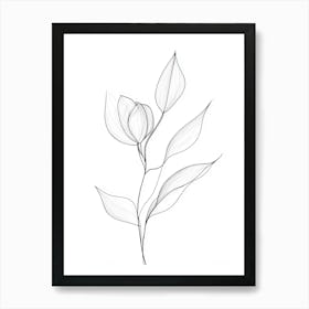 Drawing Of A Flower Art Print