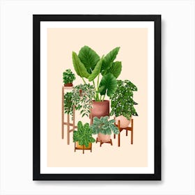 Indoor Plants 2 Art Print