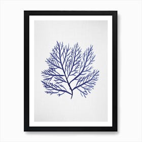 Seaweed 9 Art Print