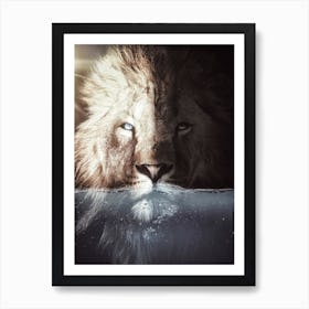 The King Lion In His Bath Art Print