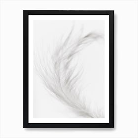 White Feather 2 Art Print