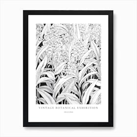 Heliconia B&W Vintage Botanical Poster Art Print