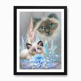 Two Cats With Blue Eyes Art Print