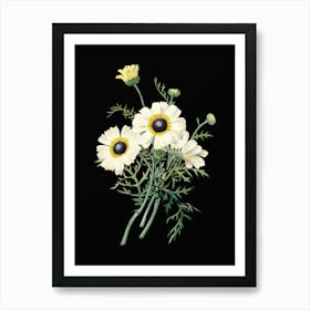 Vintage Chrysanthemum Botanical Illustration on Solid Black n.0772 Art Print