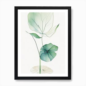 Water Lily Leaf Minimalist Watercolour 3 Art Print
