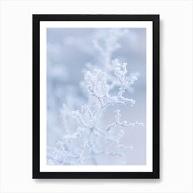 Frozen Twigs Winter Art Print