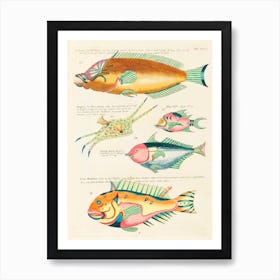 Colourful And Surreal Illustrations Of Fishes Found In Moluccas (Indonesia) And The East Indies, Louis Renard(38) Art Print